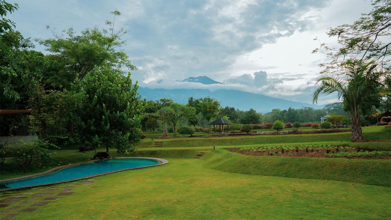 K Gallery Hotel Pasuruan Eksteriør billede